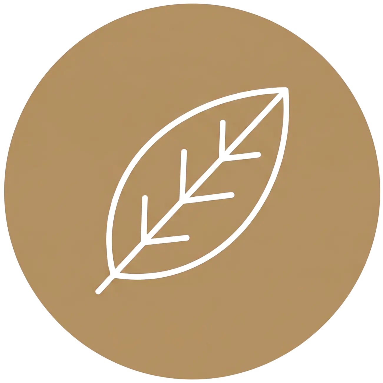 feature-item-3